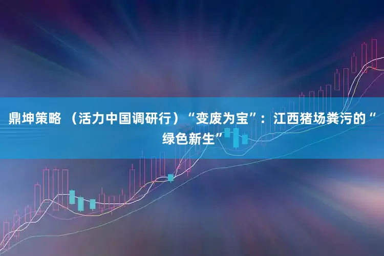 鼎坤策略 （活力中国调研行）“变废为宝”：江西猪场粪污的“绿色新生”