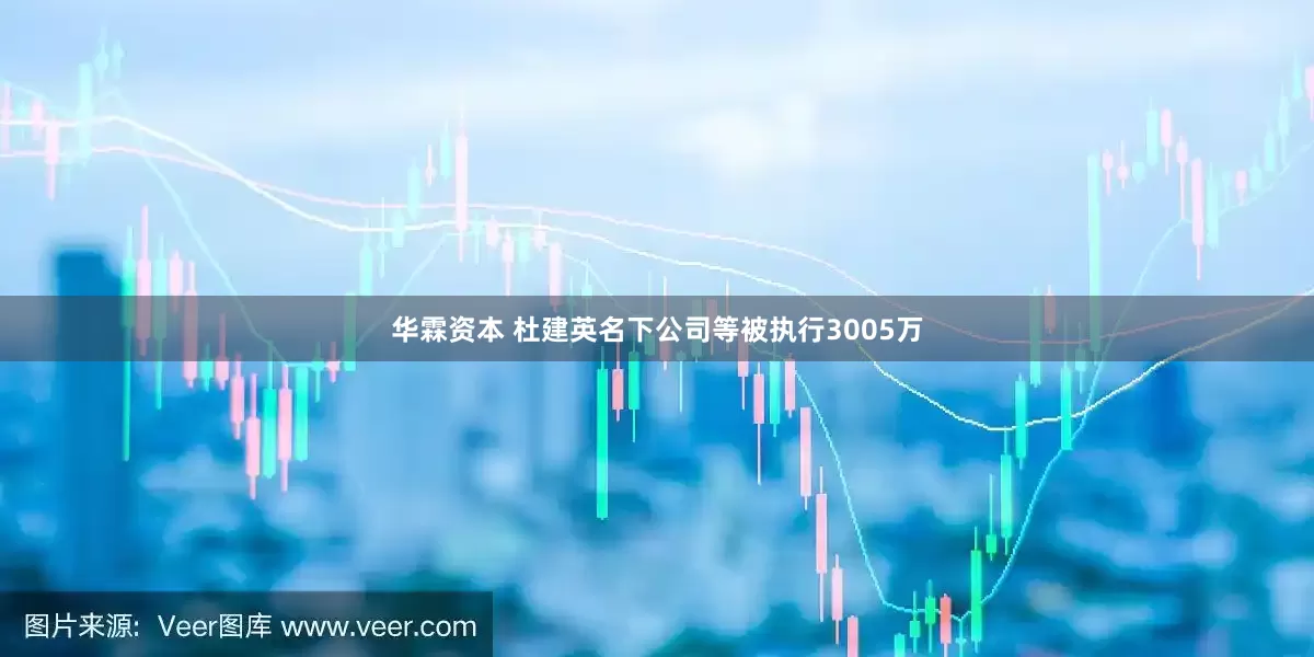 华霖资本 杜建英名下公司等被执行3005万