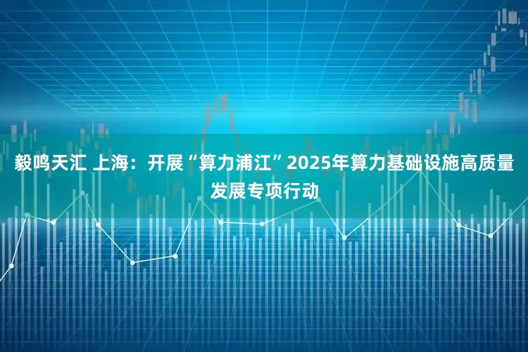 毅鸣天汇 上海：开展“算力浦江”2025年算力基础设施高质量发展专项行动