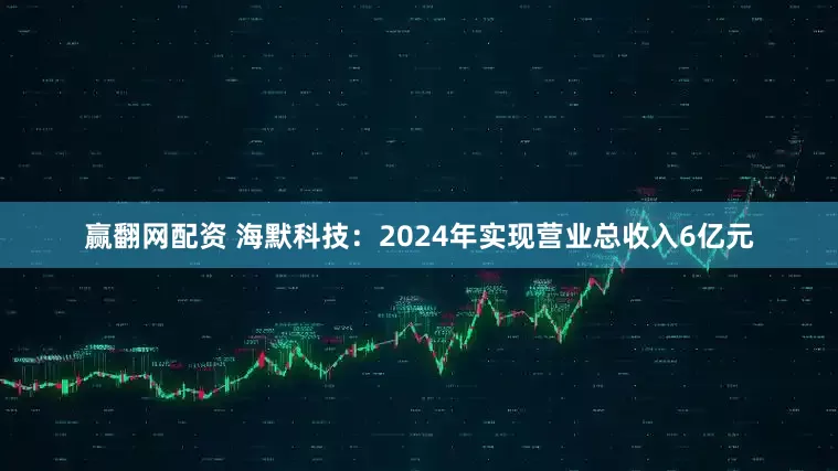 赢翻网配资 海默科技：2024年实现营业总收入6亿元