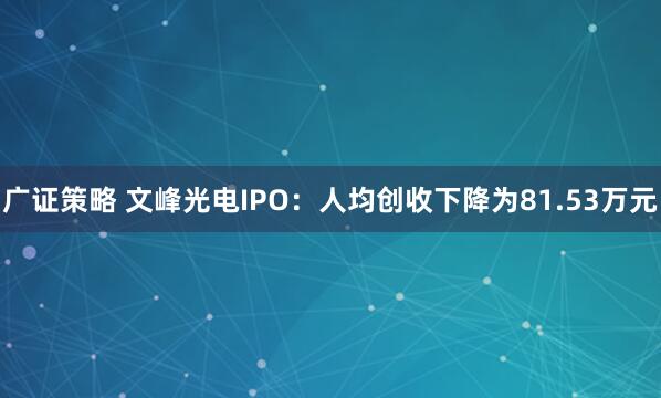 广证策略 文峰光电IPO：人均创收下降为81.53万元