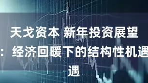 天戈资本 新年投资展望：经济回暖下的结构性机遇